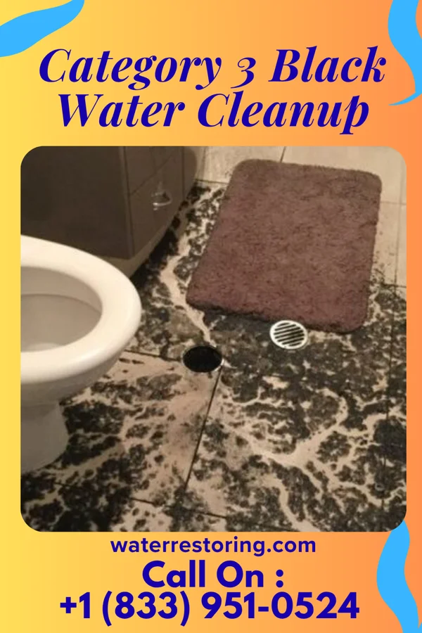 Category 3 Black Water Cleanup in Delaware City, DE