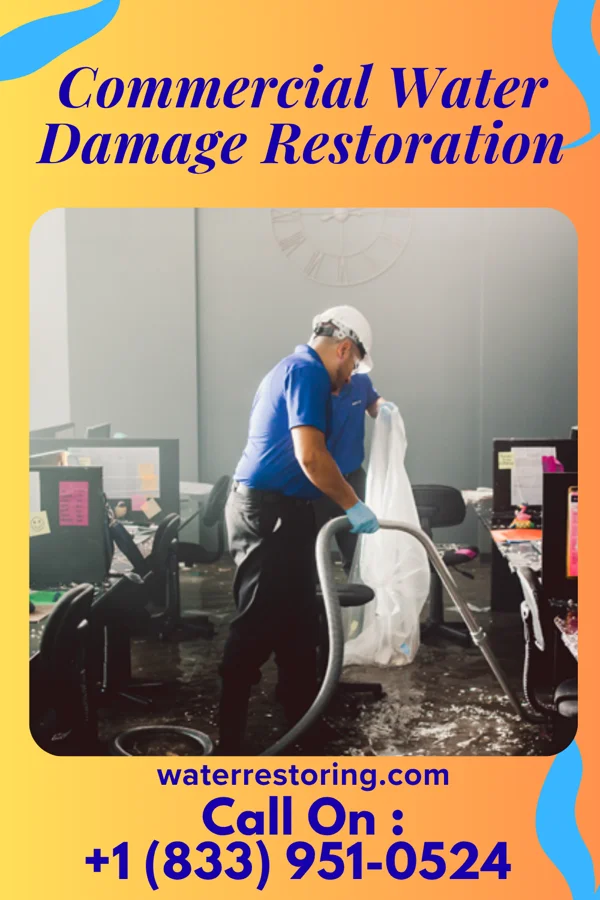 Commercial Water Damage Restoration in Delaware City, DE