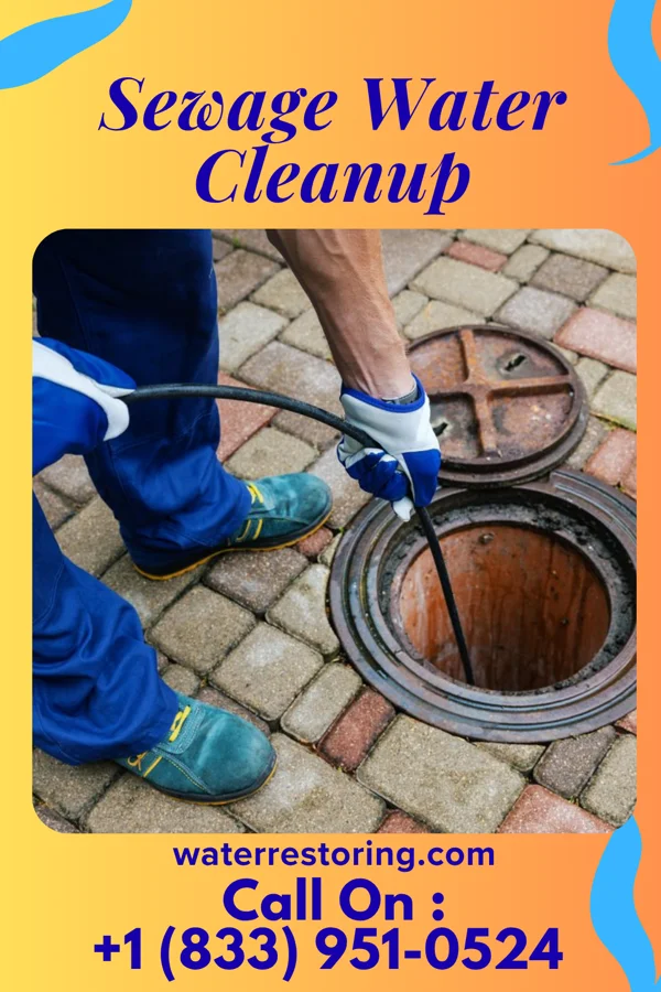 Sewage Water Cleanup in Delaware City, DE