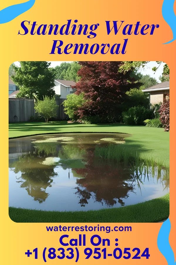 Standing Water Removal in Delaware City, DE
